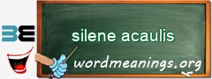 WordMeaning blackboard for silene acaulis